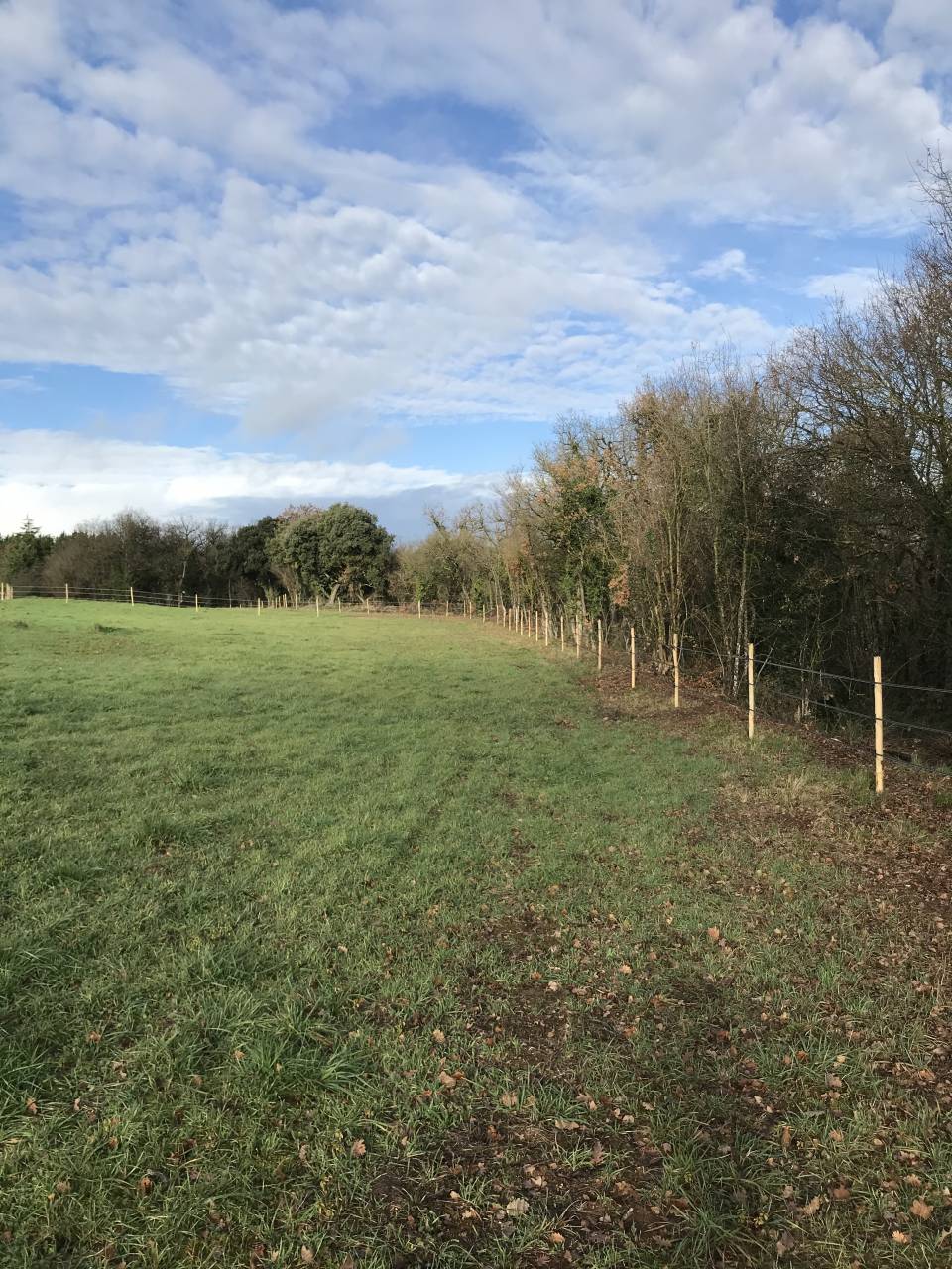 Propri&eacute;t&eacute; &eacute;questre secteur recherch&eacute; en Charente - 8 ha