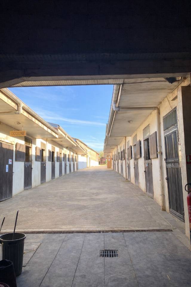 Propri&eacute;t&eacute; &eacute;questre avec habitations Clefs en main, Praye (54116)