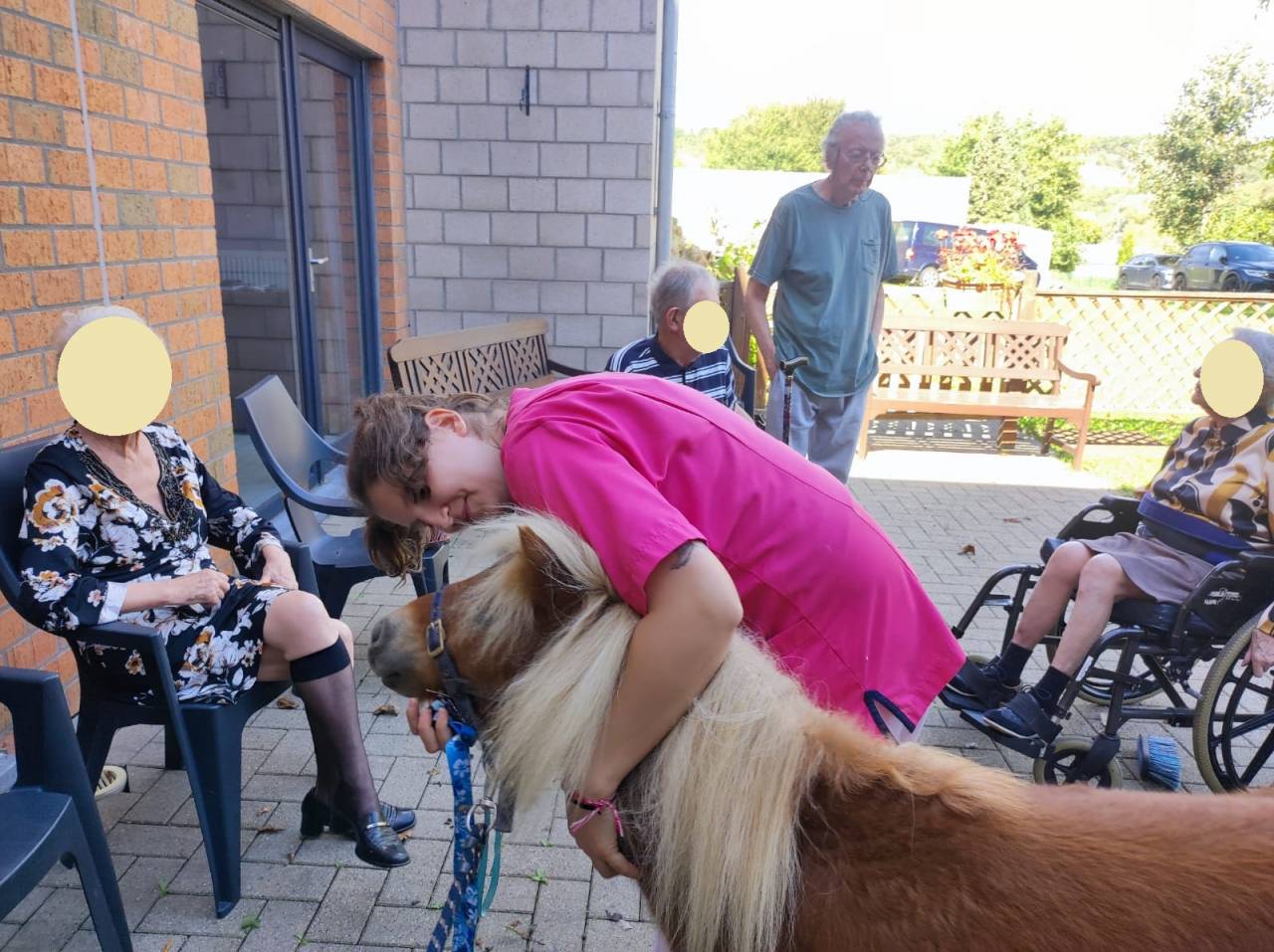 poney shetland m&acirc;le castr&eacute; 