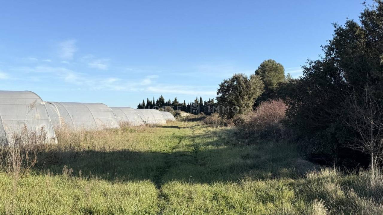 Alpilles - Domaine 6,6 hectares avec deux logements