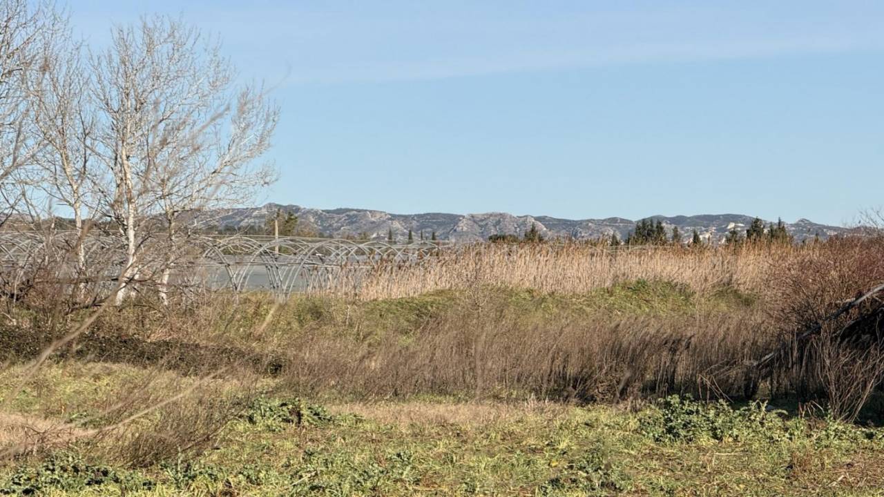Alpilles - Domaine 6,6 hectares avec deux logements