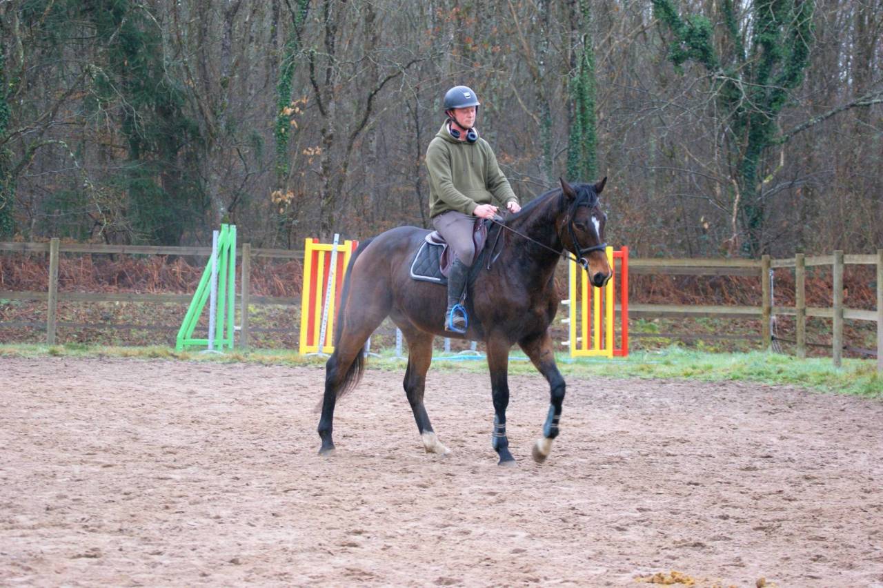 Top Cheval Amateur CCE