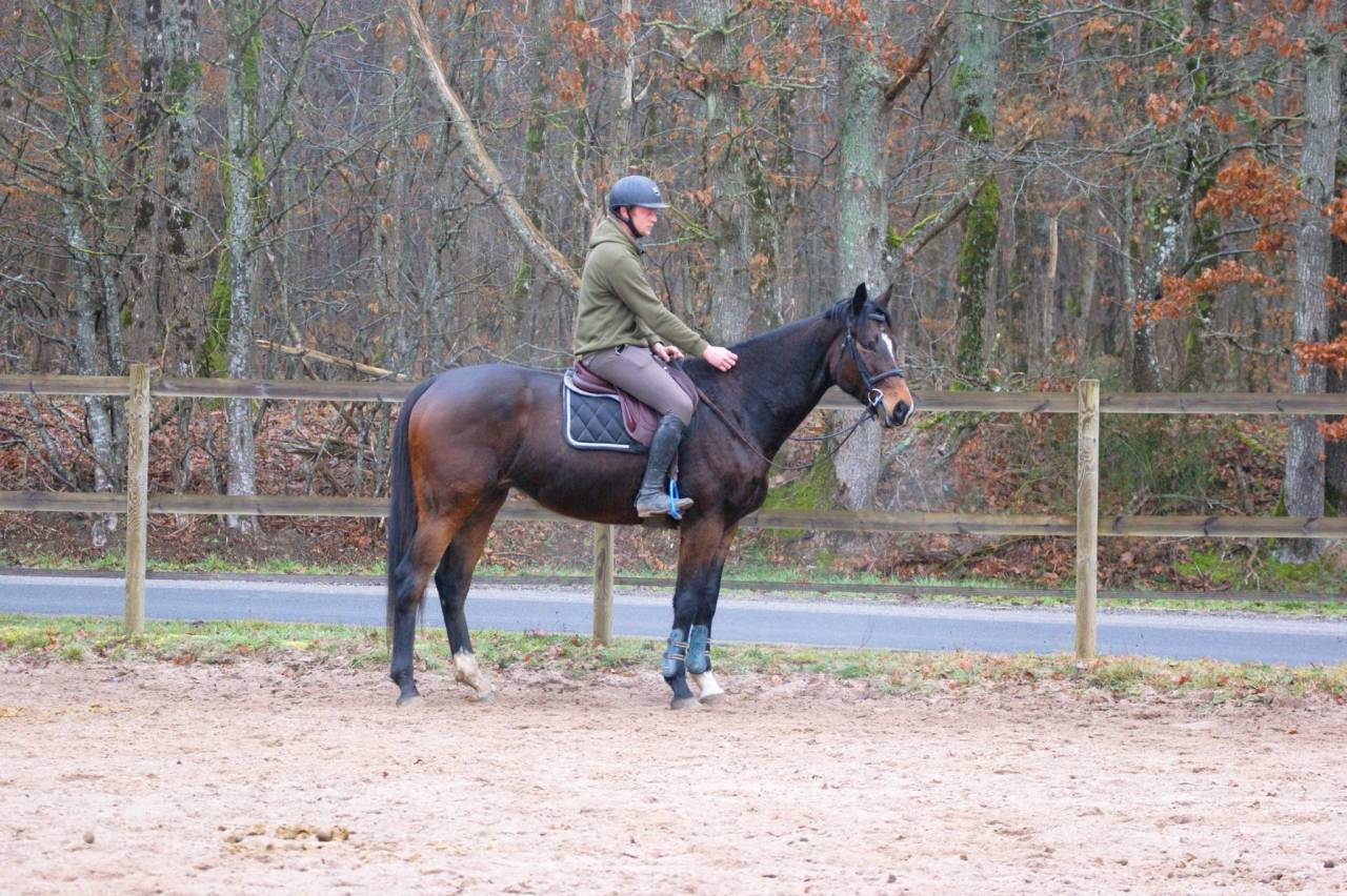 Top Cheval Amateur CCE