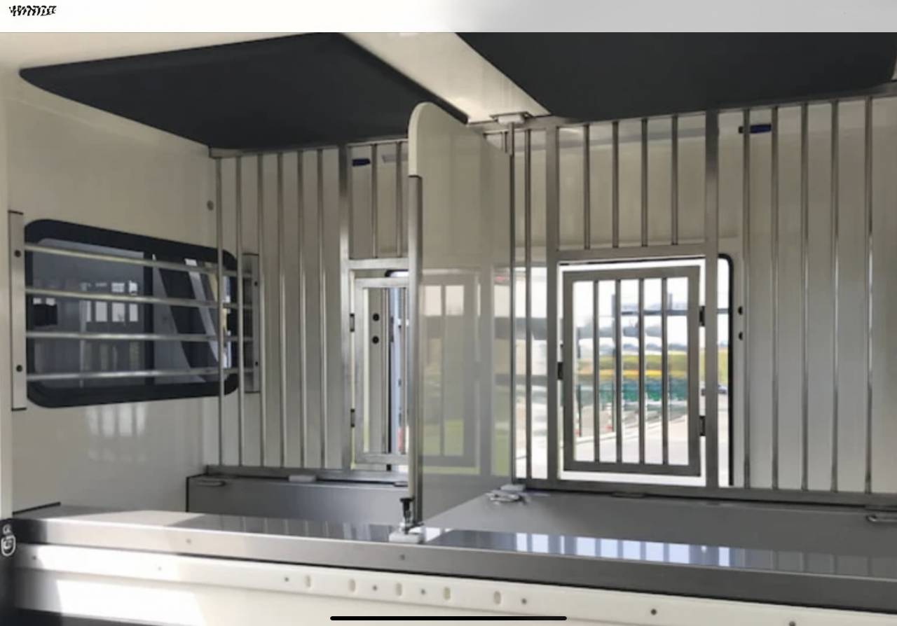 CAMION RENAULT MASTER AMELINE 165 CV S&Eacute;LECT LUXE 2,3L 