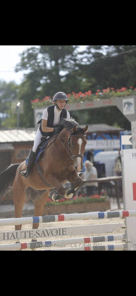 Hongre SF 12ans Orient&eacute; CSO, par Quite Easy