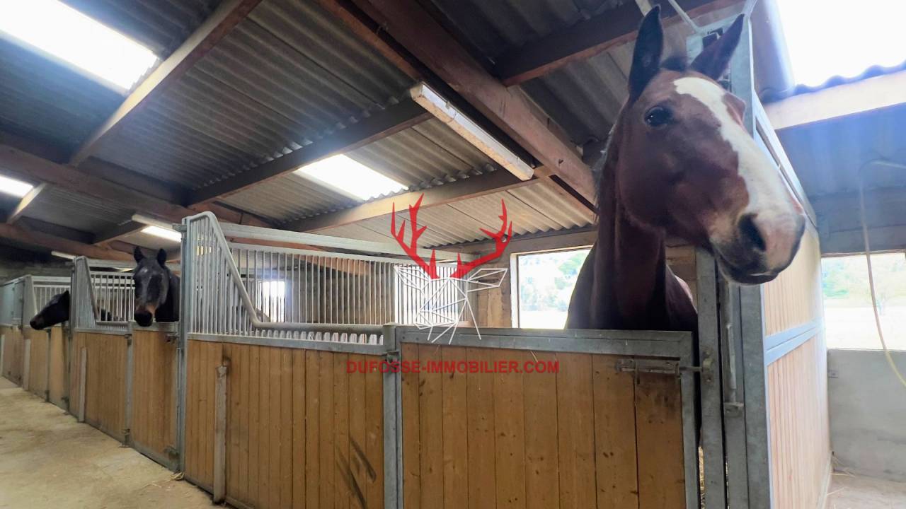 Tarn-et-Garonne Propri&eacute;t&eacute; &eacute;questre de 3,2 hectares (82)