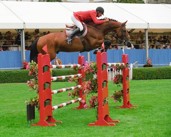 Jument id&eacute;al pour l&rsquo;&eacute;levage!