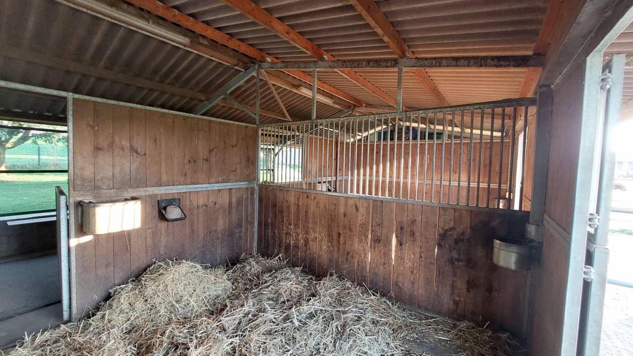 spacieux boxe-terrasse &agrave; louer