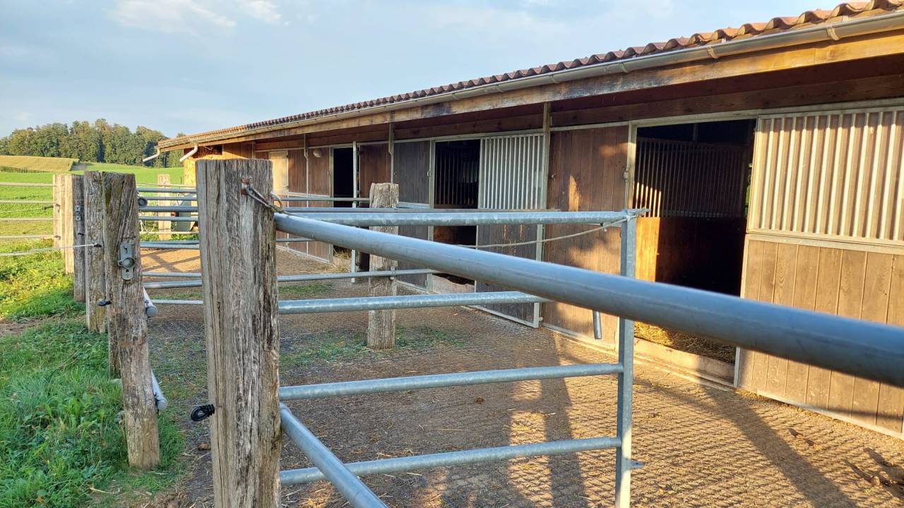 spacieux boxe-terrasse &agrave; louer