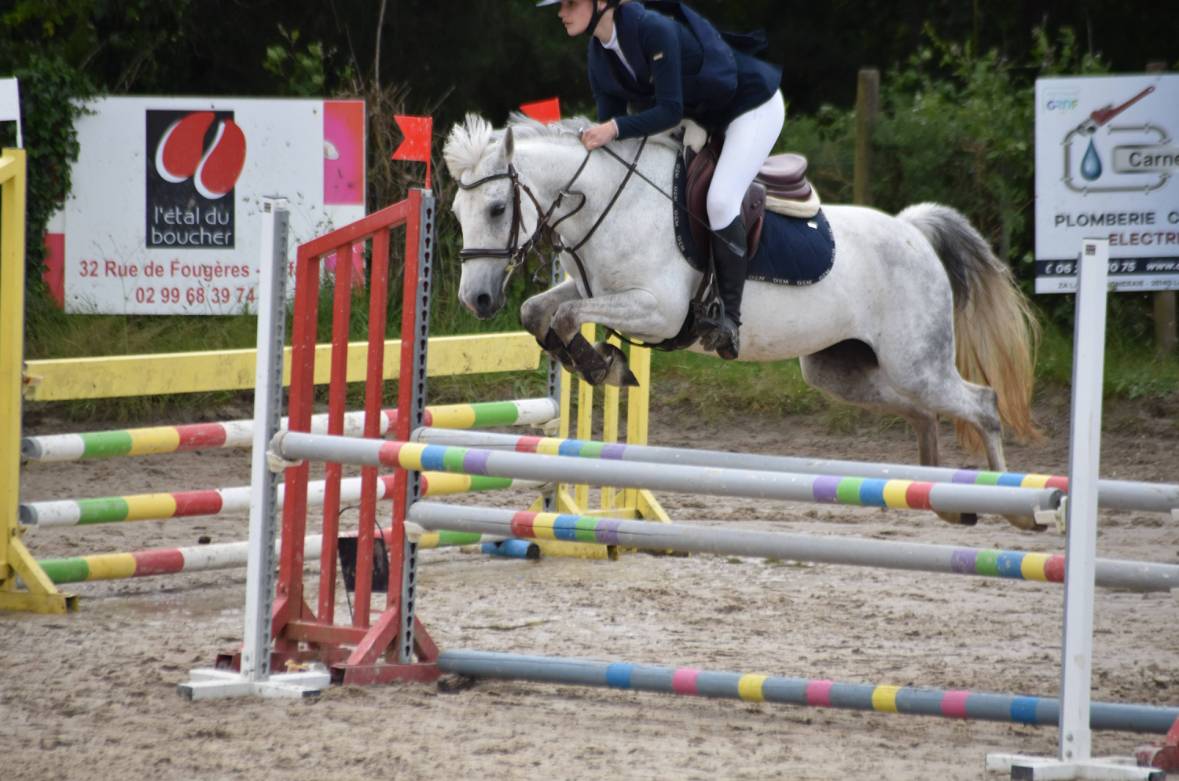 Ponette taille C pour CSO P1/Pelite et +
