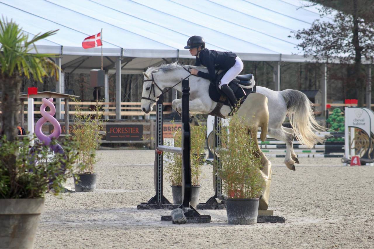 Ponette taille C pour CSO P1/Pelite et +