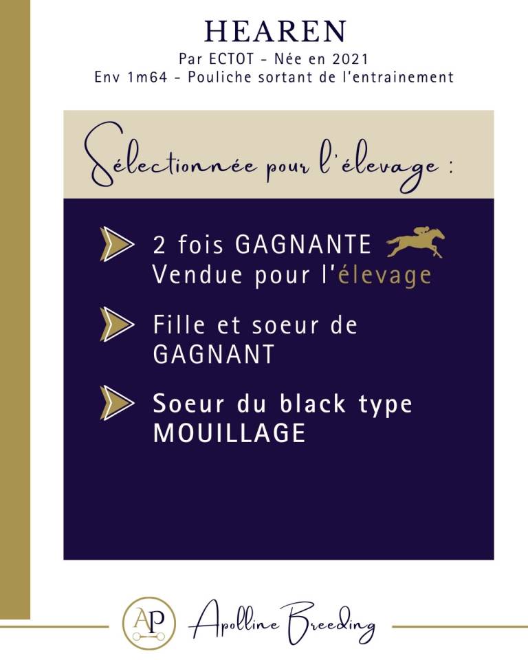 Jument deux victoires soeur de black type