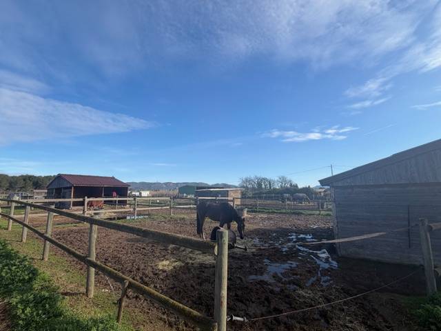 VEND FONDS DE COMMERCE CENTRE EQUESTRE LES MURETTES VAR