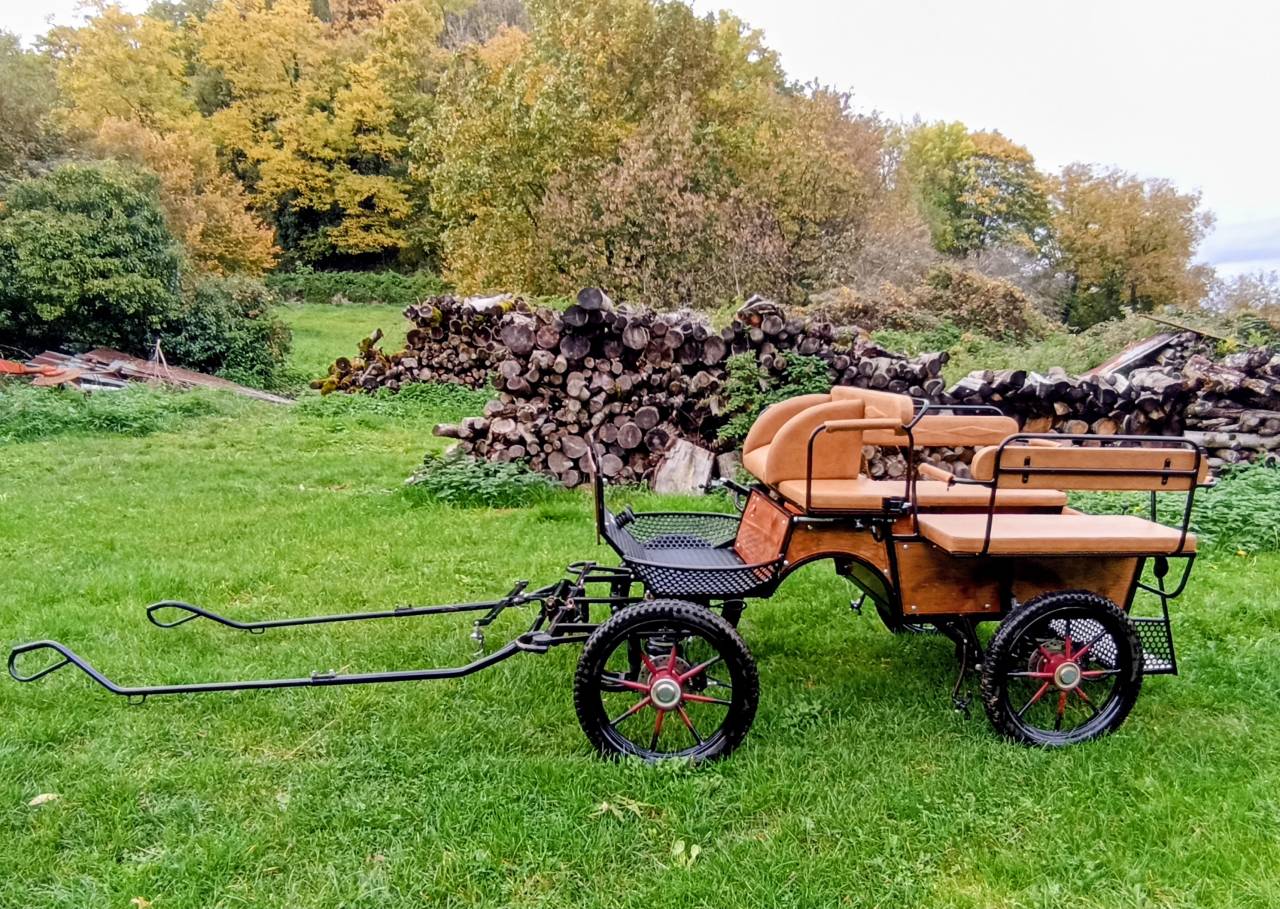 Cal&egrave;che loisir &eacute;tat neuf