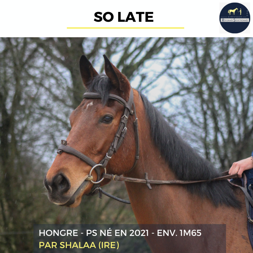 SO LATE - PS - 5 ANS