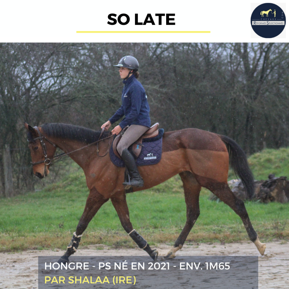 SO LATE - PS - 5 ANS