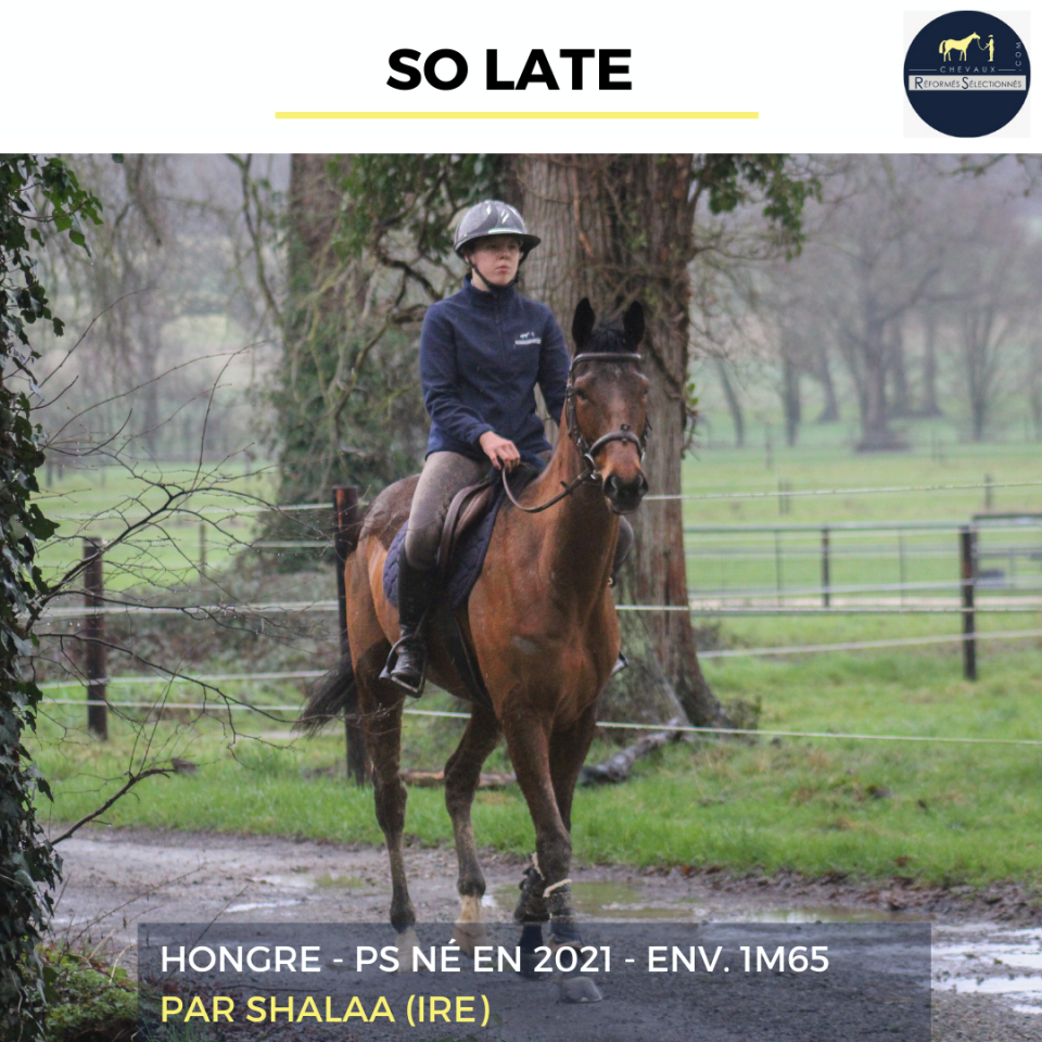 SO LATE - PS - 5 ANS