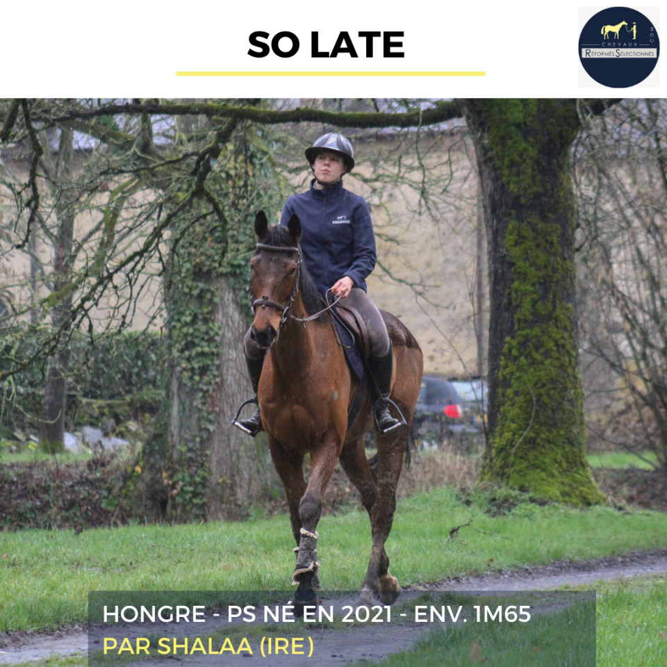 SO LATE - PS - 5 ANS