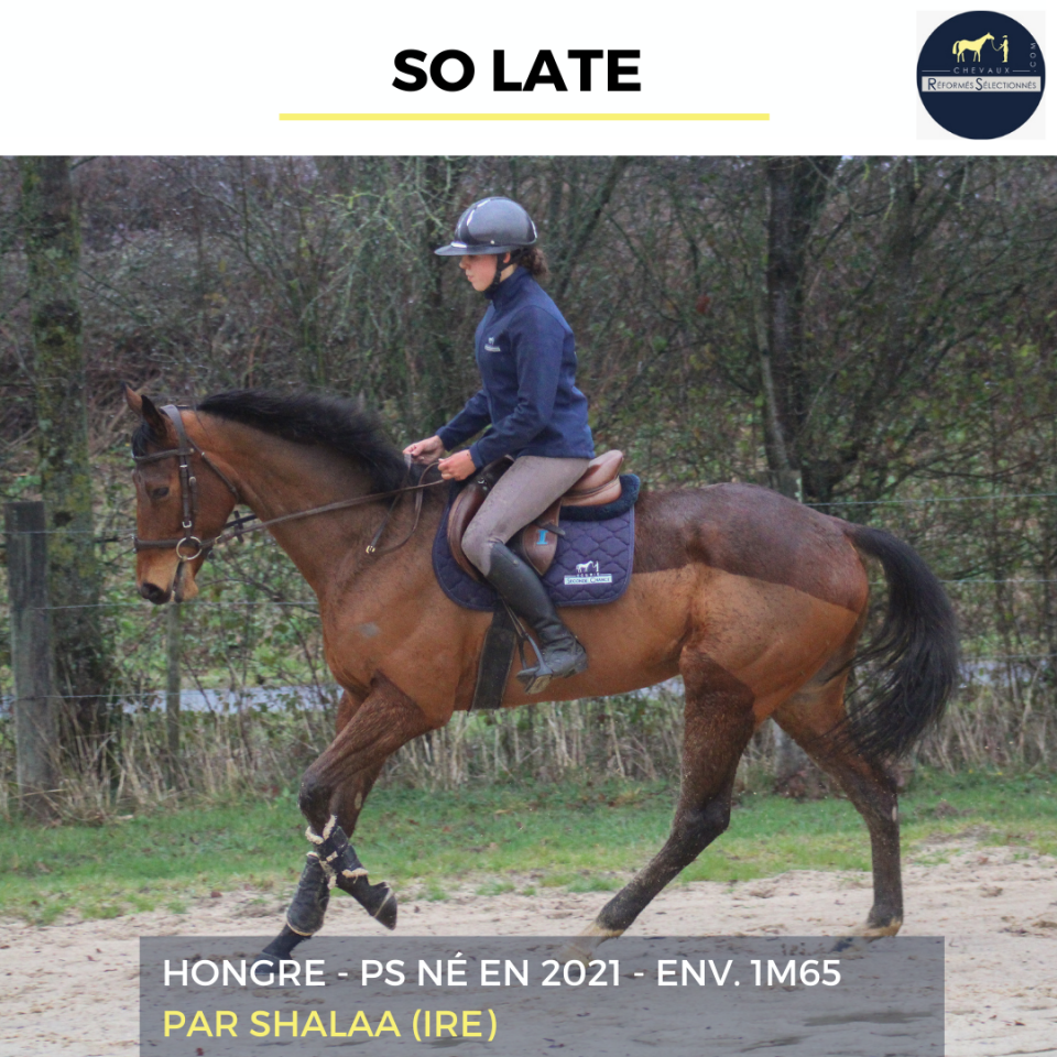 SO LATE - PS - 5 ANS