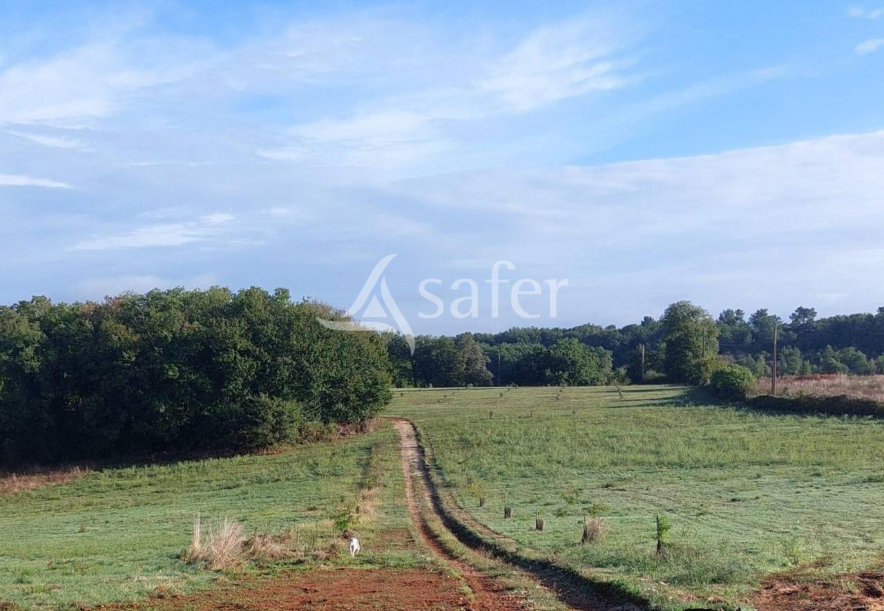 Belle propri&eacute;t&eacute; b&acirc;tie enti&egrave;rement r&eacute;nov&eacute;e sur 26ha avec ma