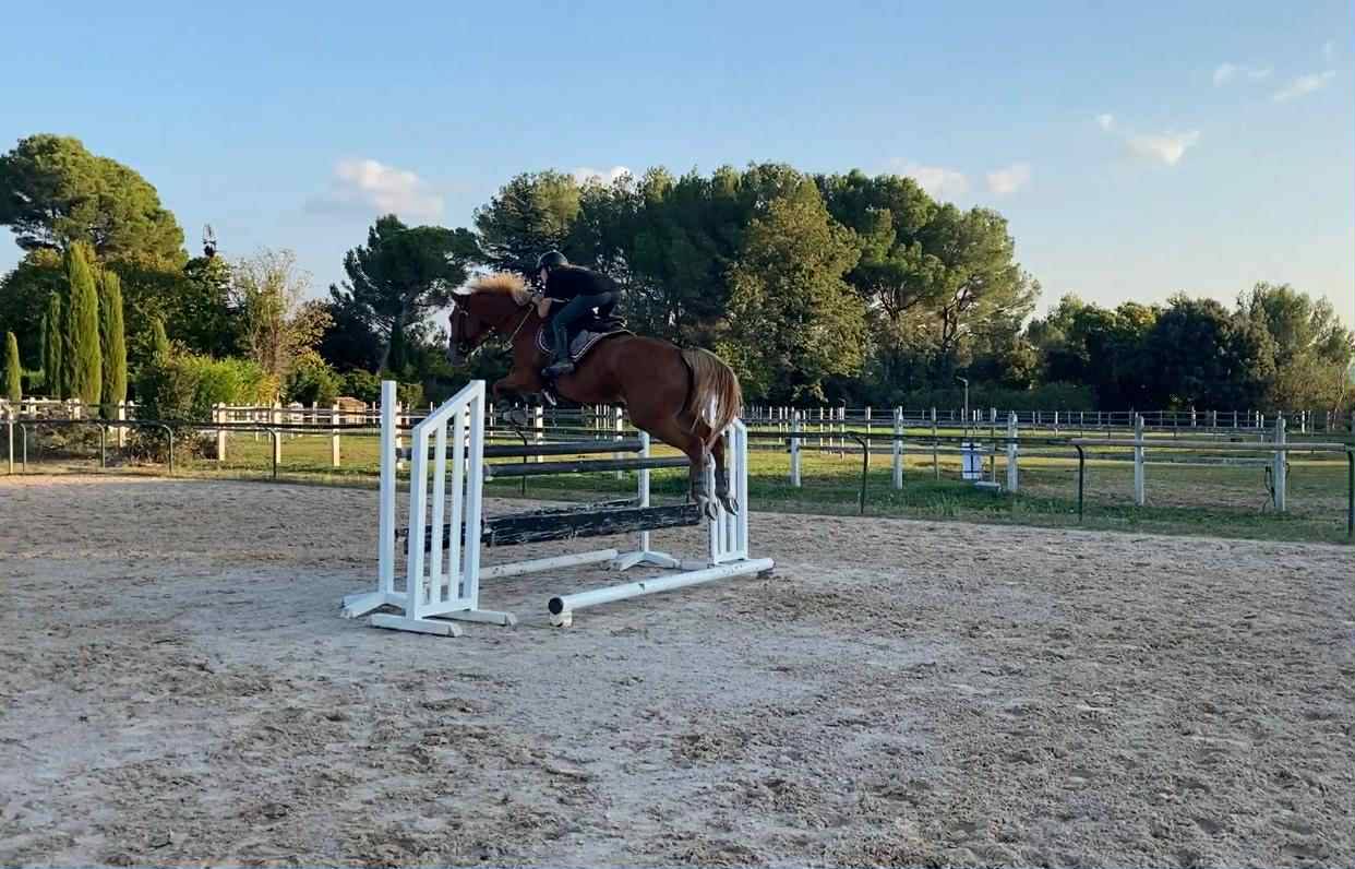 Jument SF - 6 ans - Kama d&rsquo;Amaury x Quality Bois Margot