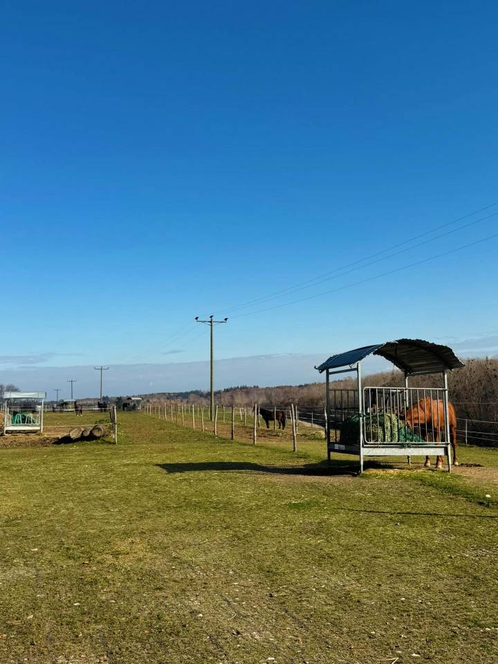 Pension d&eacute;bourrage