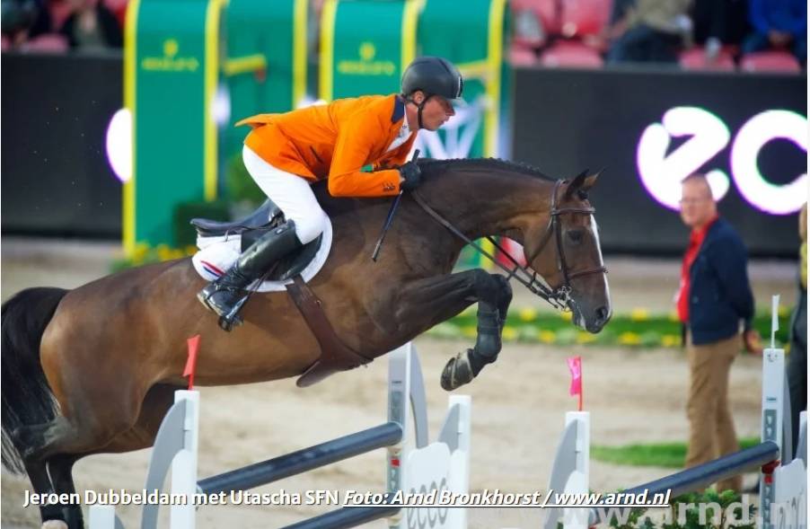 Cessation d&rsquo;&eacute;levage - Poulini&egrave;re 