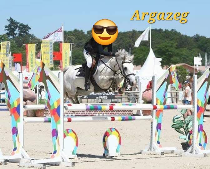 PONEY CONNEMARA, PRINZ NERO DE PUISAYE