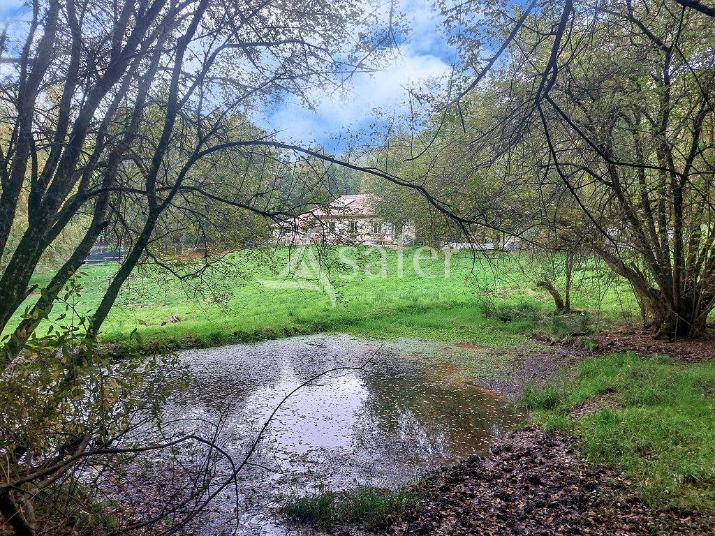 Au Nord de Limoges, ensemble de 2 ha &agrave; l'&eacute;cart du voisinage