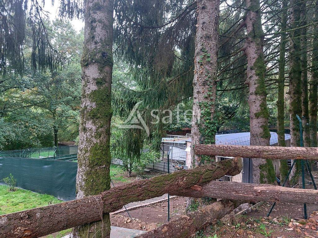 Au Nord de Limoges, ensemble de 2 ha &agrave; l'&eacute;cart du voisinage