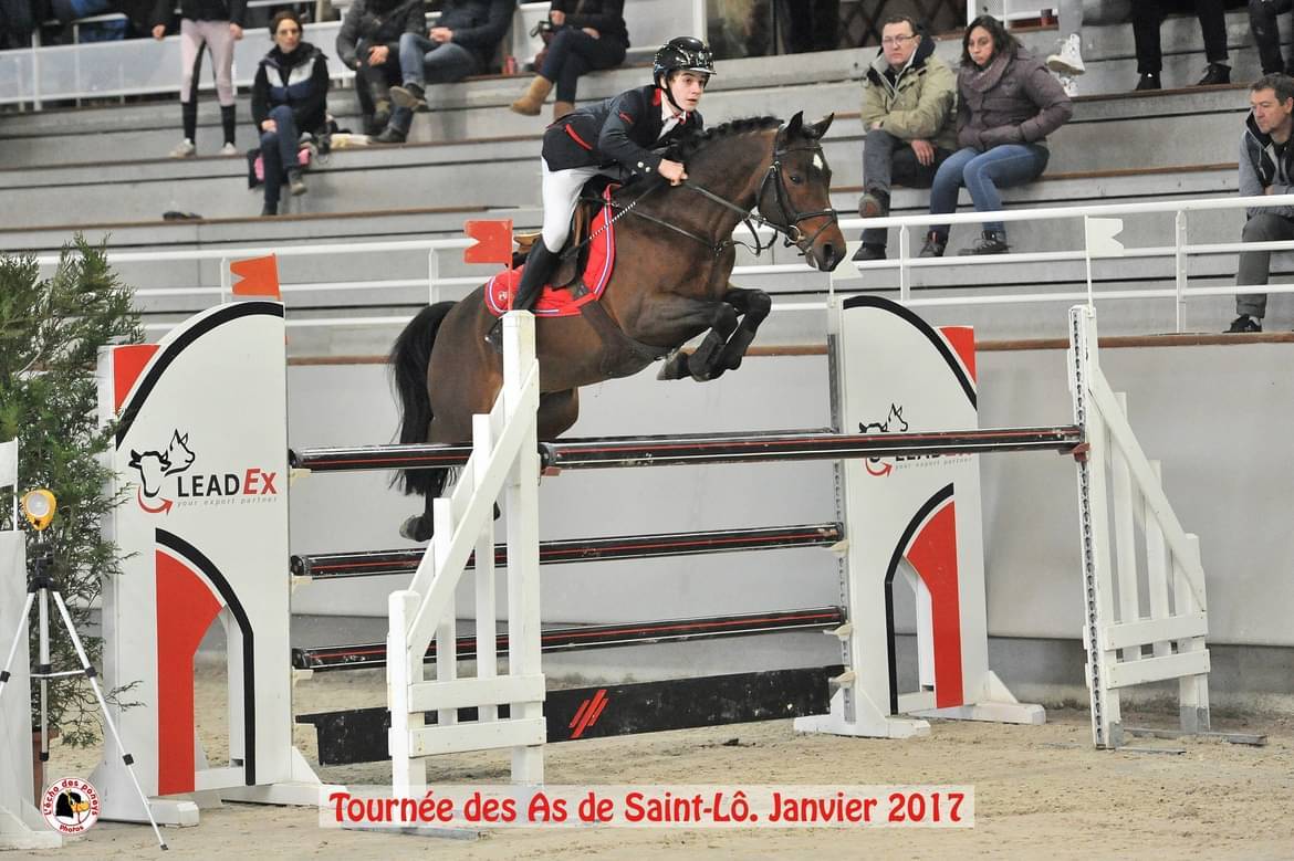 Saillie PFS Grand Prix Excellence Vaguely Noble Haryns