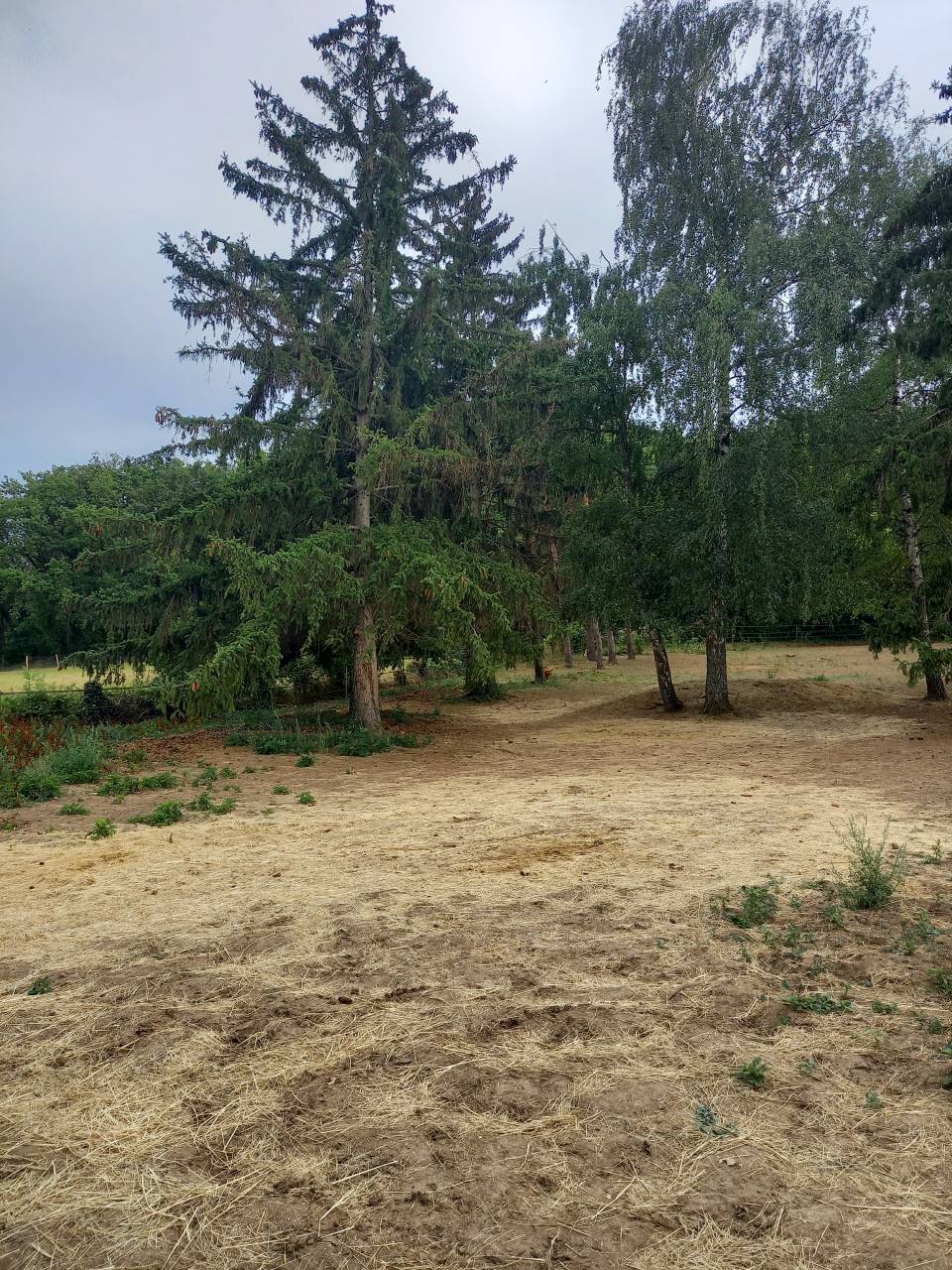 LOCATION PATURE POUR 2 CHEVAUX - ESSONNE 91