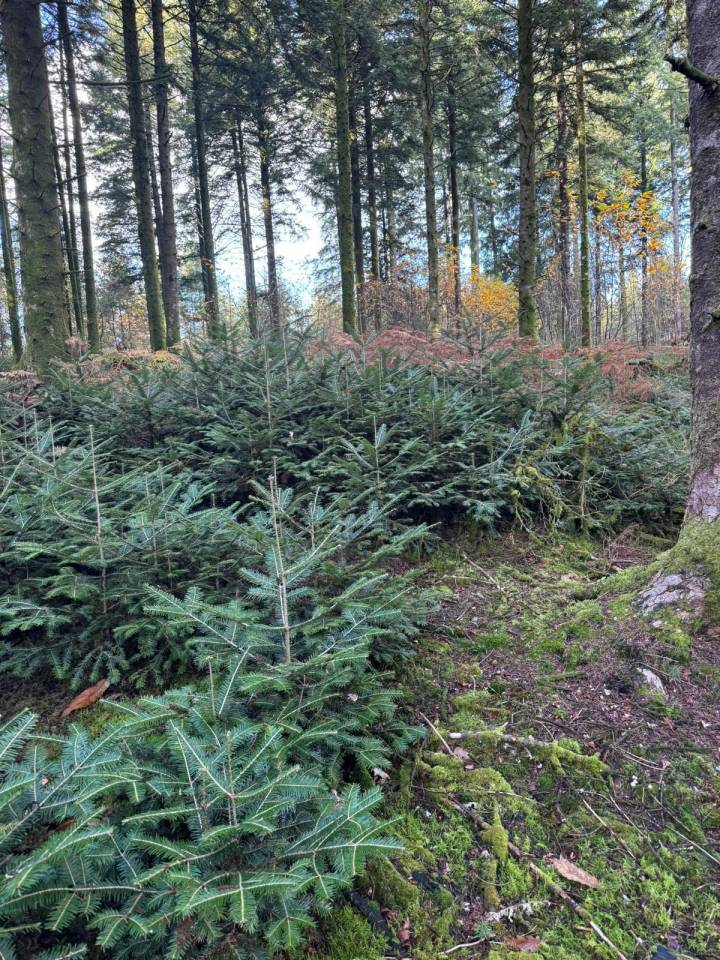 Domaine Equestre centr&eacute; sur le Bien Etre &eacute;quin et l'Agro&eacute;co