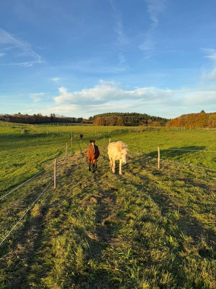 Domaine Equestre centr&eacute; sur le Bien Etre &eacute;quin et l'Agro&eacute;co