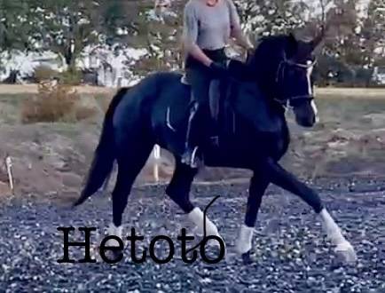 de bon augure pour la suite