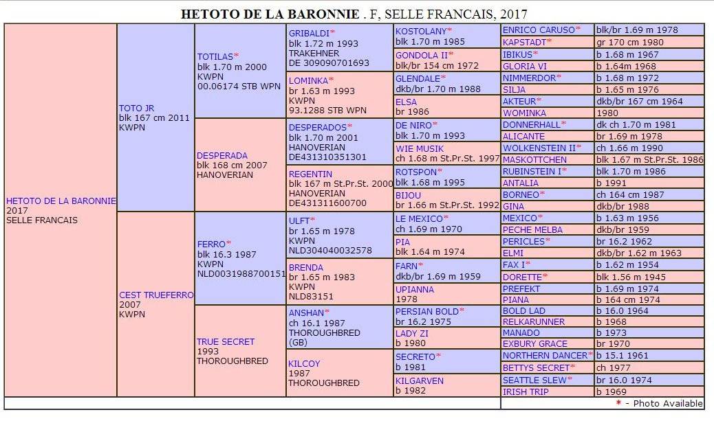 de bon augure pour la suite