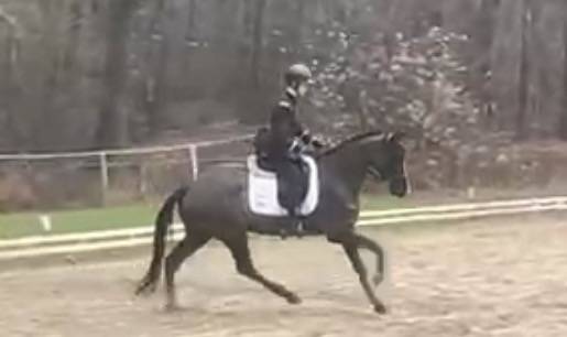 de bon augure pour la suite