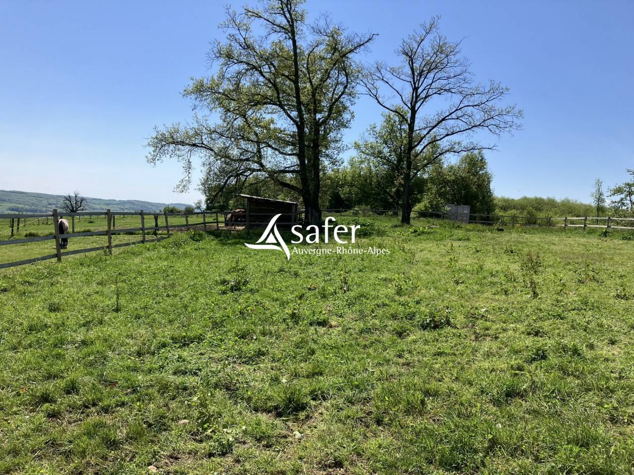 Haras en Dr&ocirc;me des Collines