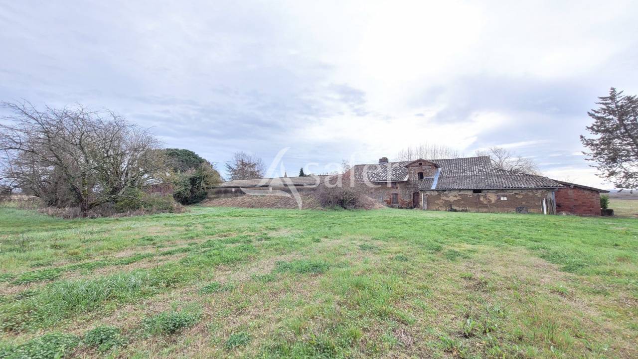 Domaine agricole 22ha Gaillac