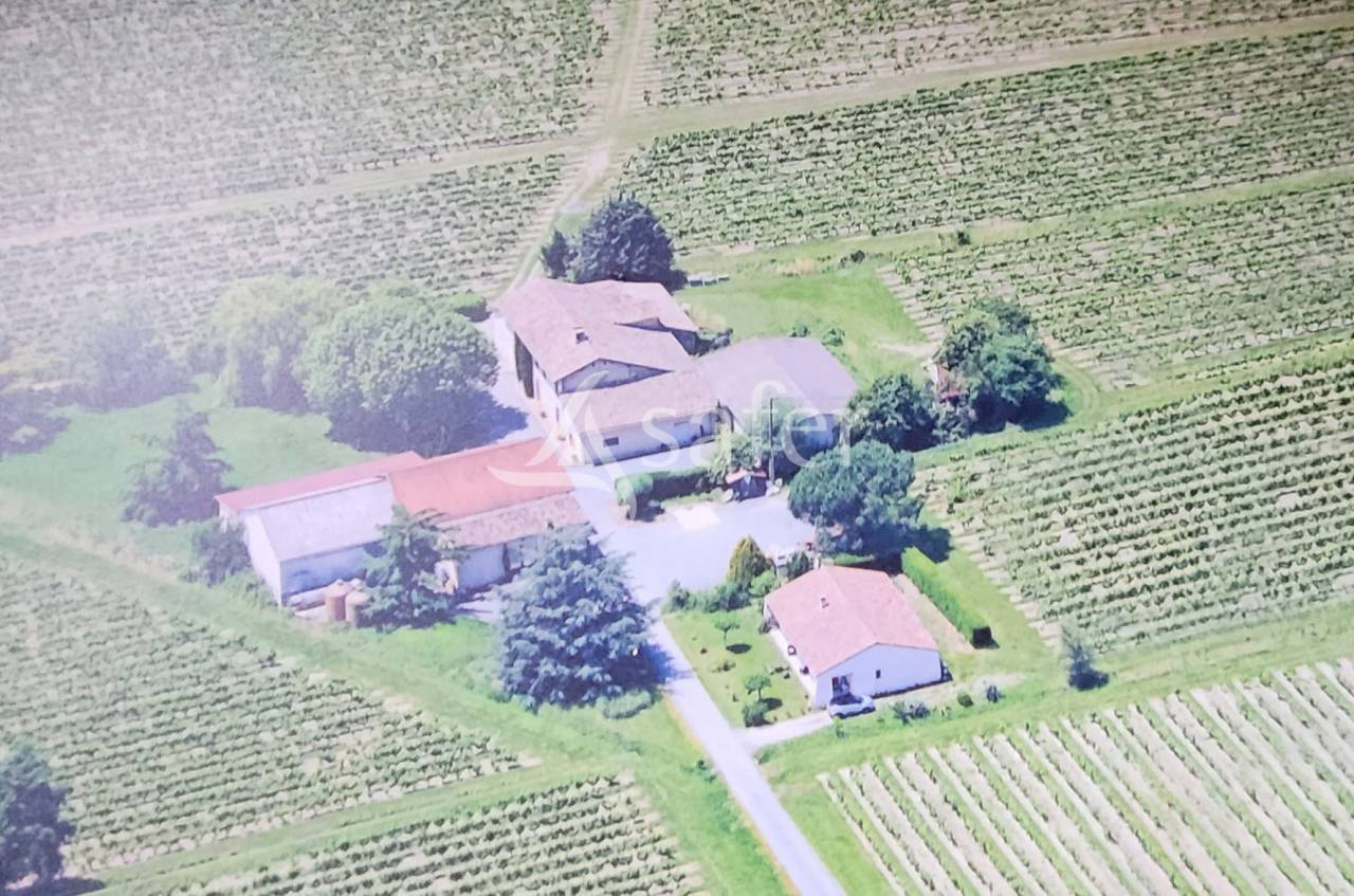 Domaine agricole 22ha Gaillac