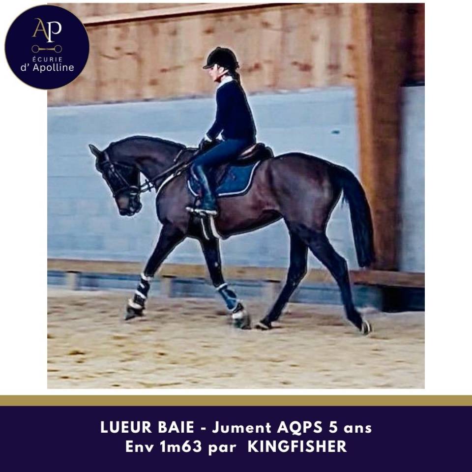 AQPS 5 ans bon &eacute;quilibre top mental