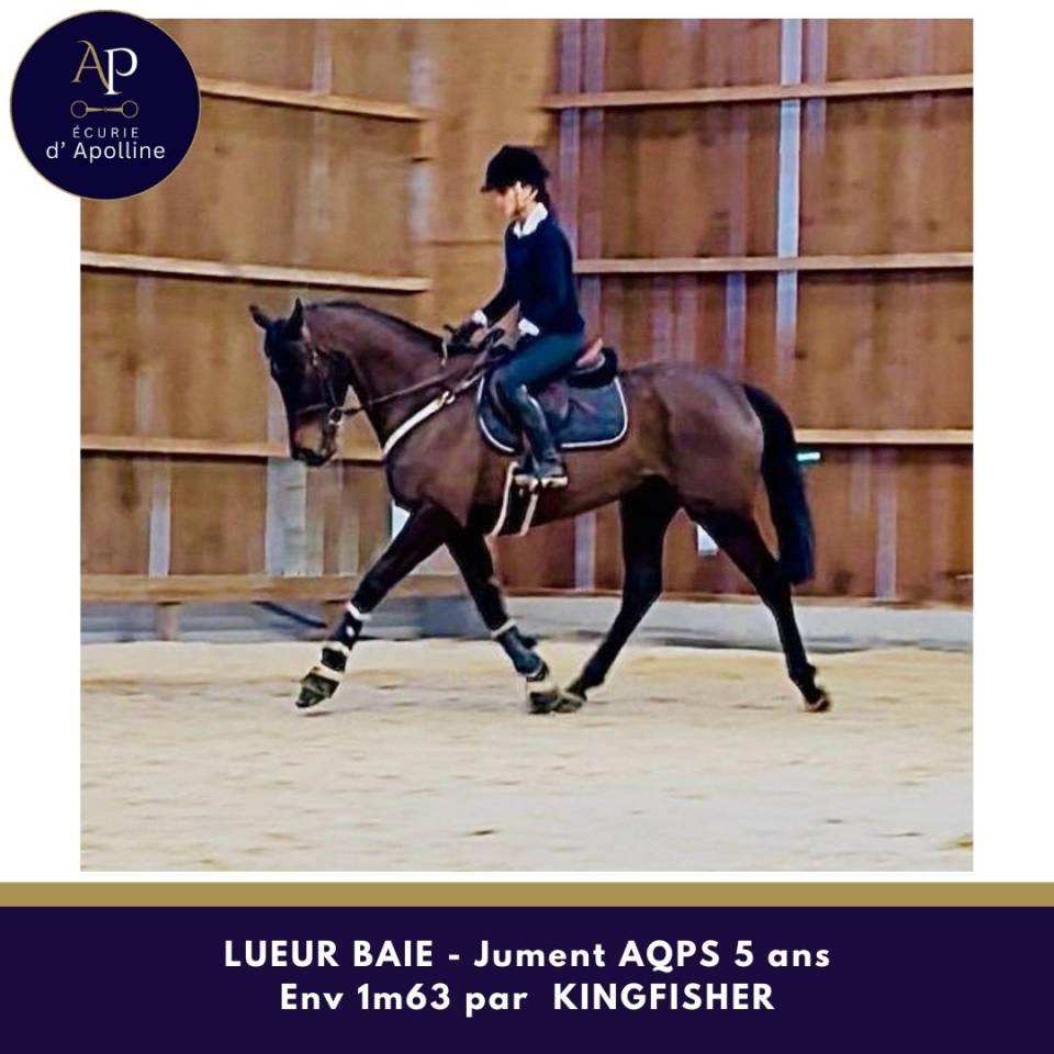 AQPS 5 ans bon &eacute;quilibre top mental