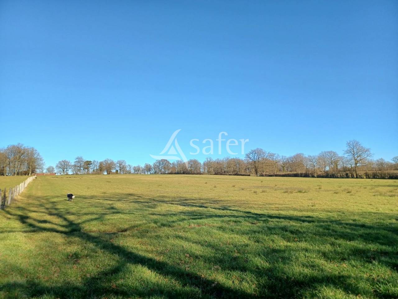 Propri&eacute;t&eacute; &eacute;levage OVIN