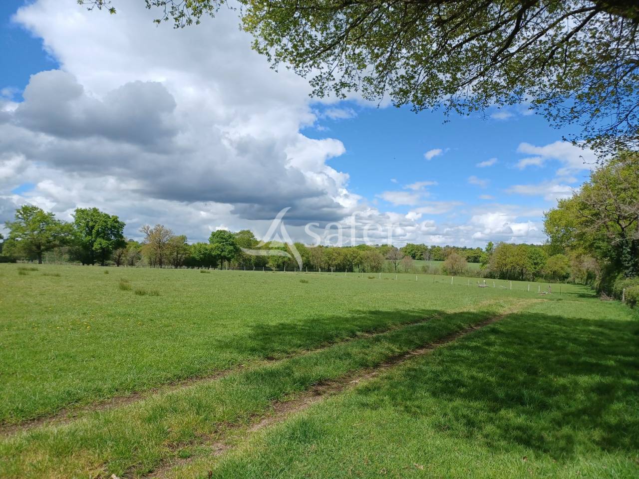 Propri&eacute;t&eacute; &eacute;levage OVIN