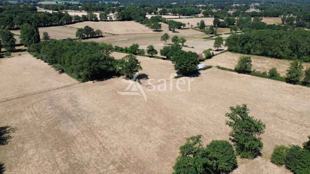 Propri&eacute;t&eacute; &eacute;levage OVIN