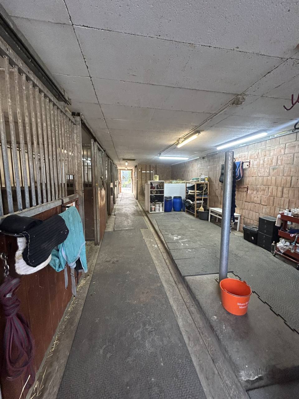 Pension en boxe &Eacute;curie ind&eacute;pendante  Mont-sur-Lausanne