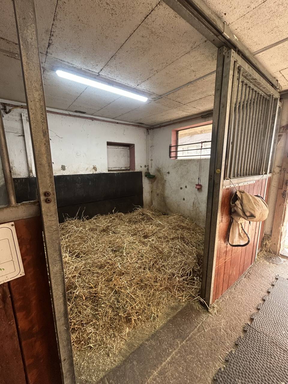 Pension en boxe &Eacute;curie ind&eacute;pendante  Mont-sur-Lausanne