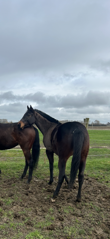 J.JOHN - 4ans - Assurance vie