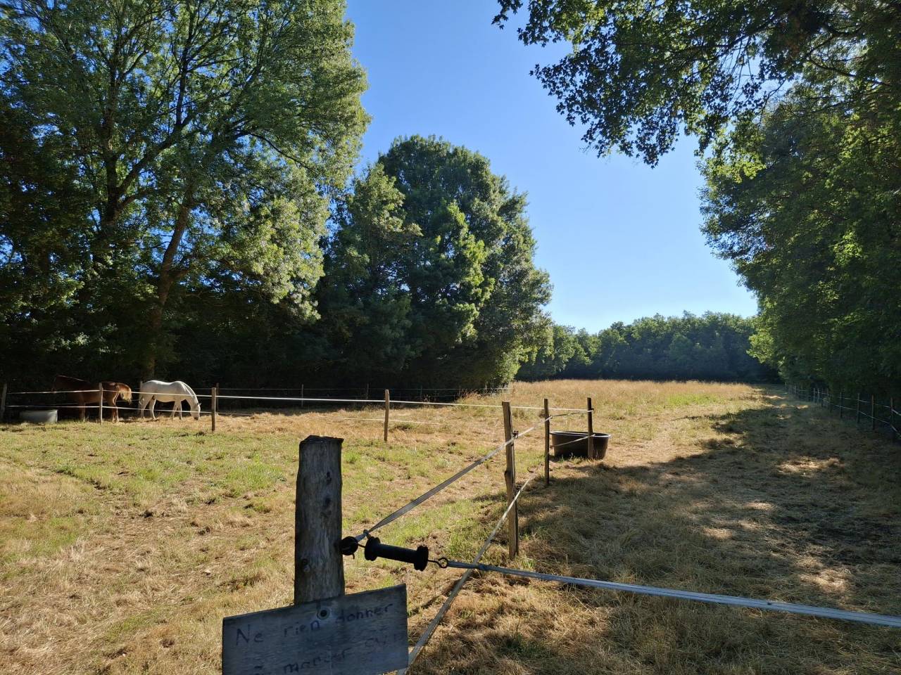 LE CHARME DE LA SAINTONGE POUR VOUS ET VOS CHEVAUX !