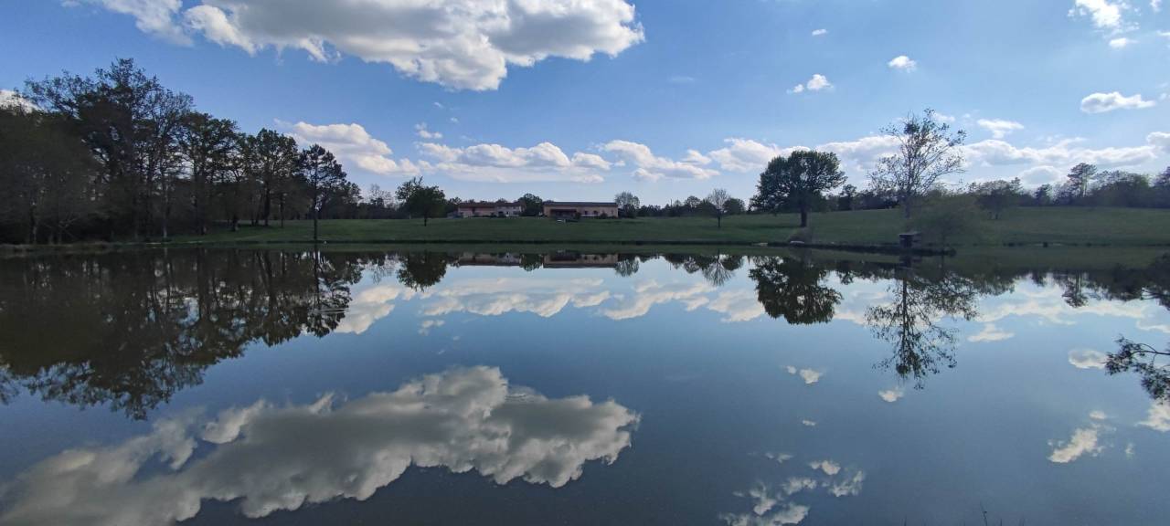 propri&eacute;t&eacute; seul tenant 29HA d&eacute;ale pour &eacute;levage chevaux ,